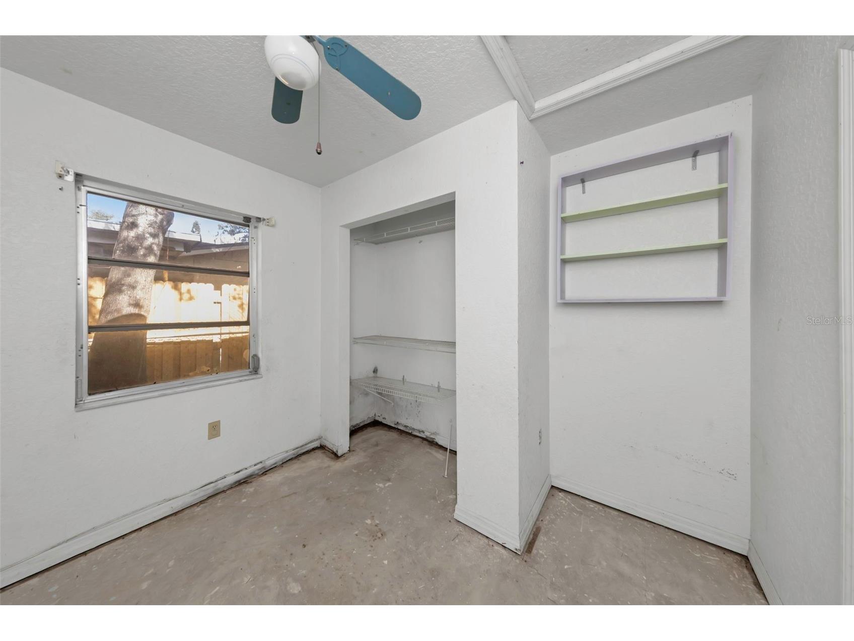 8858 67th Way N Pinellas Park FL 33782 TB8457883 image21