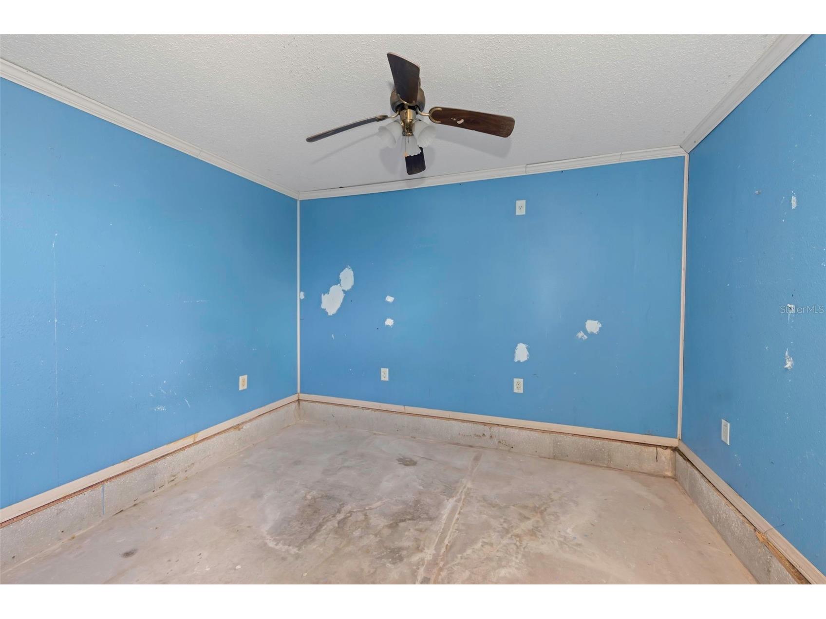 8858 67th Way N Pinellas Park FL 33782 TB8457883 image23