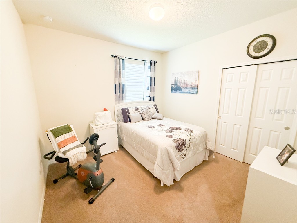 8859 Hinsdale Heights Dr Drive Polk City FL 33868 S5134307 image19