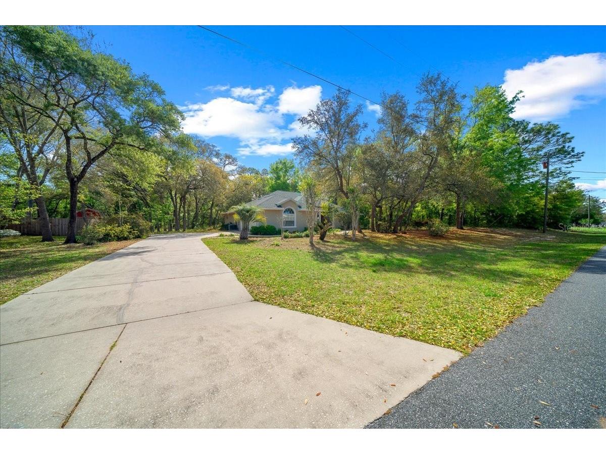 8859 N Amboy Drive Citrus Springs FL 34433 OM722552 image56