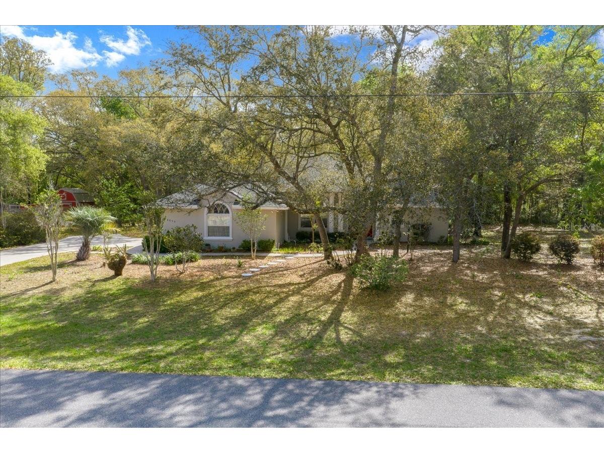 8859 N Amboy Drive Citrus Springs FL 34433 OM722552 image57