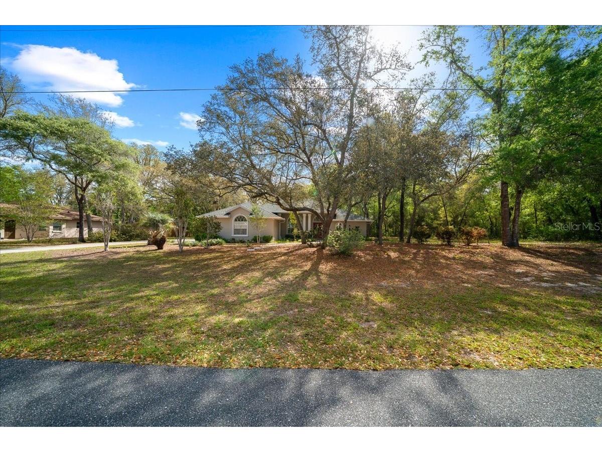 8859 N Amboy Drive Citrus Springs FL 34433 OM722552 image59