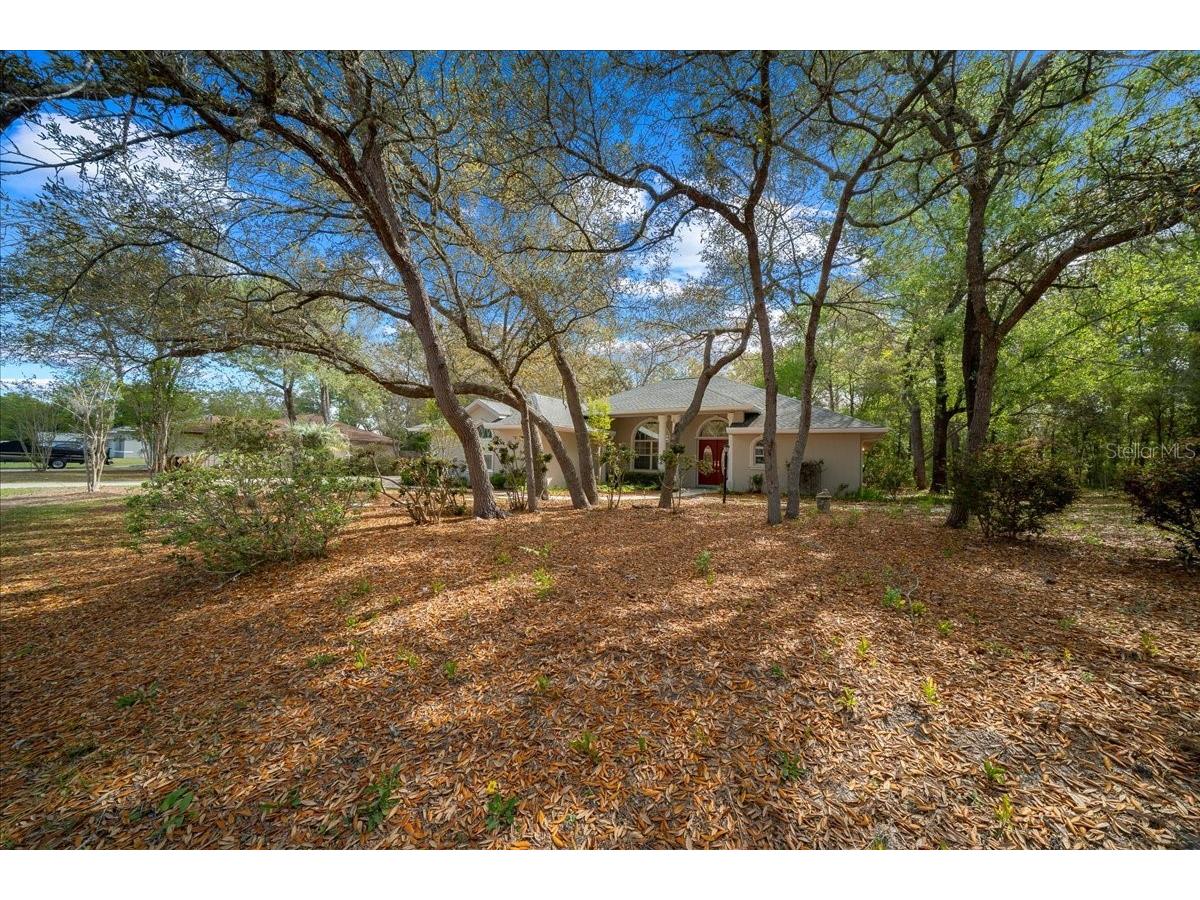 8859 N Amboy Drive Citrus Springs FL 34433 OM722552 image61
