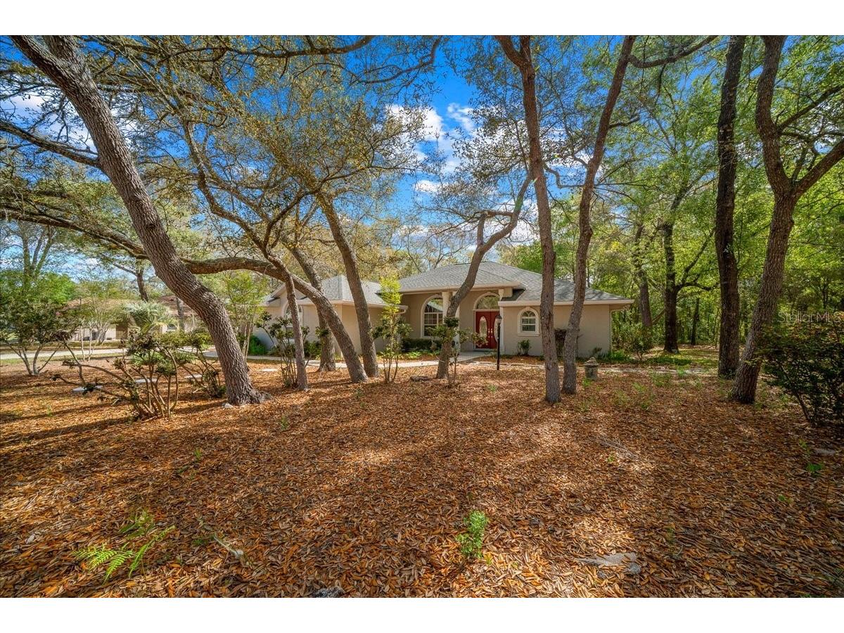 8859 N Amboy Drive Citrus Springs FL 34433 OM722552 image64