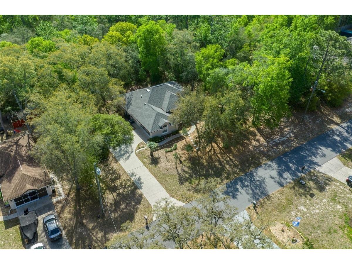 8859 N Amboy Drive Citrus Springs FL 34433 OM722552 image65