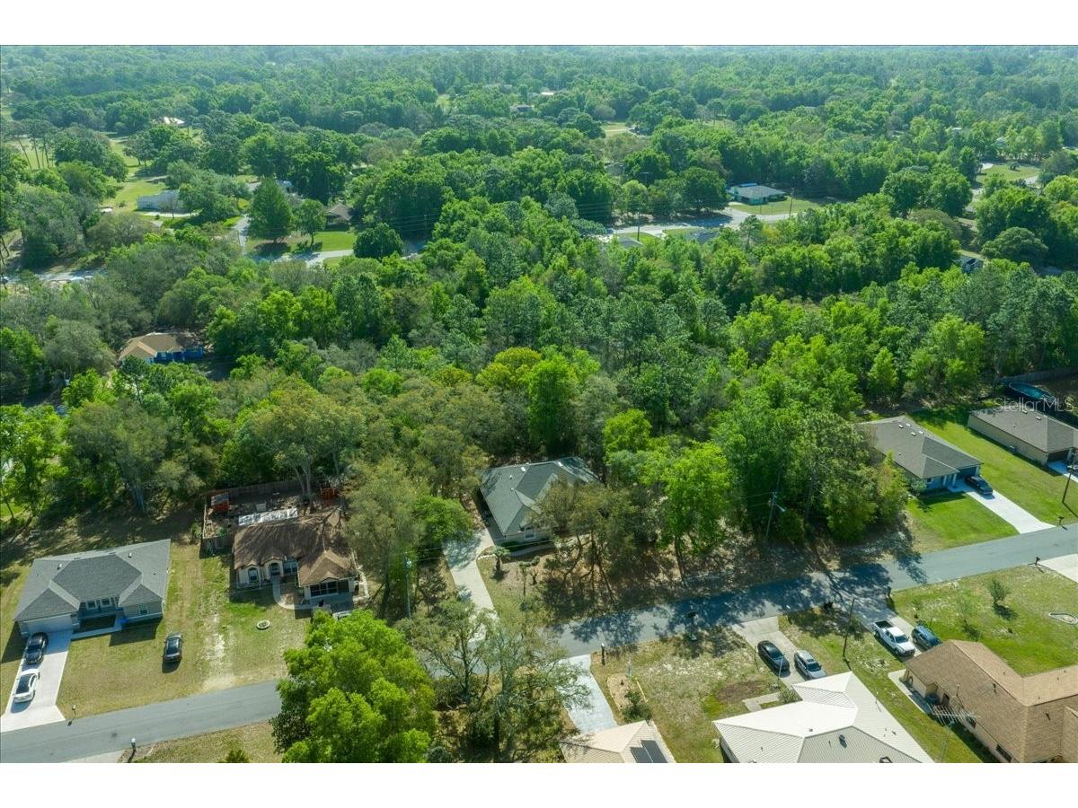 8859 N Amboy Drive Citrus Springs FL 34433 OM722552 image67
