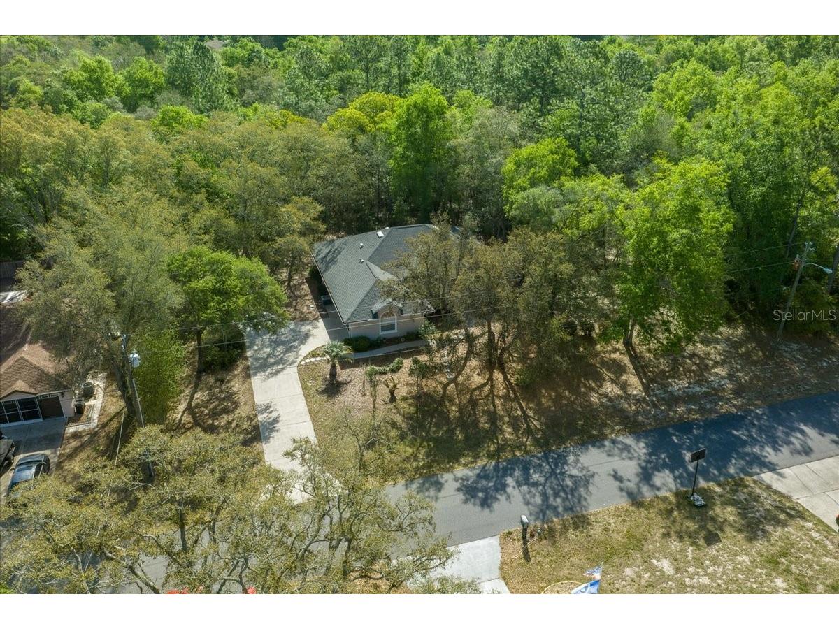 8859 N Amboy Drive Citrus Springs FL 34433 OM722552 image69