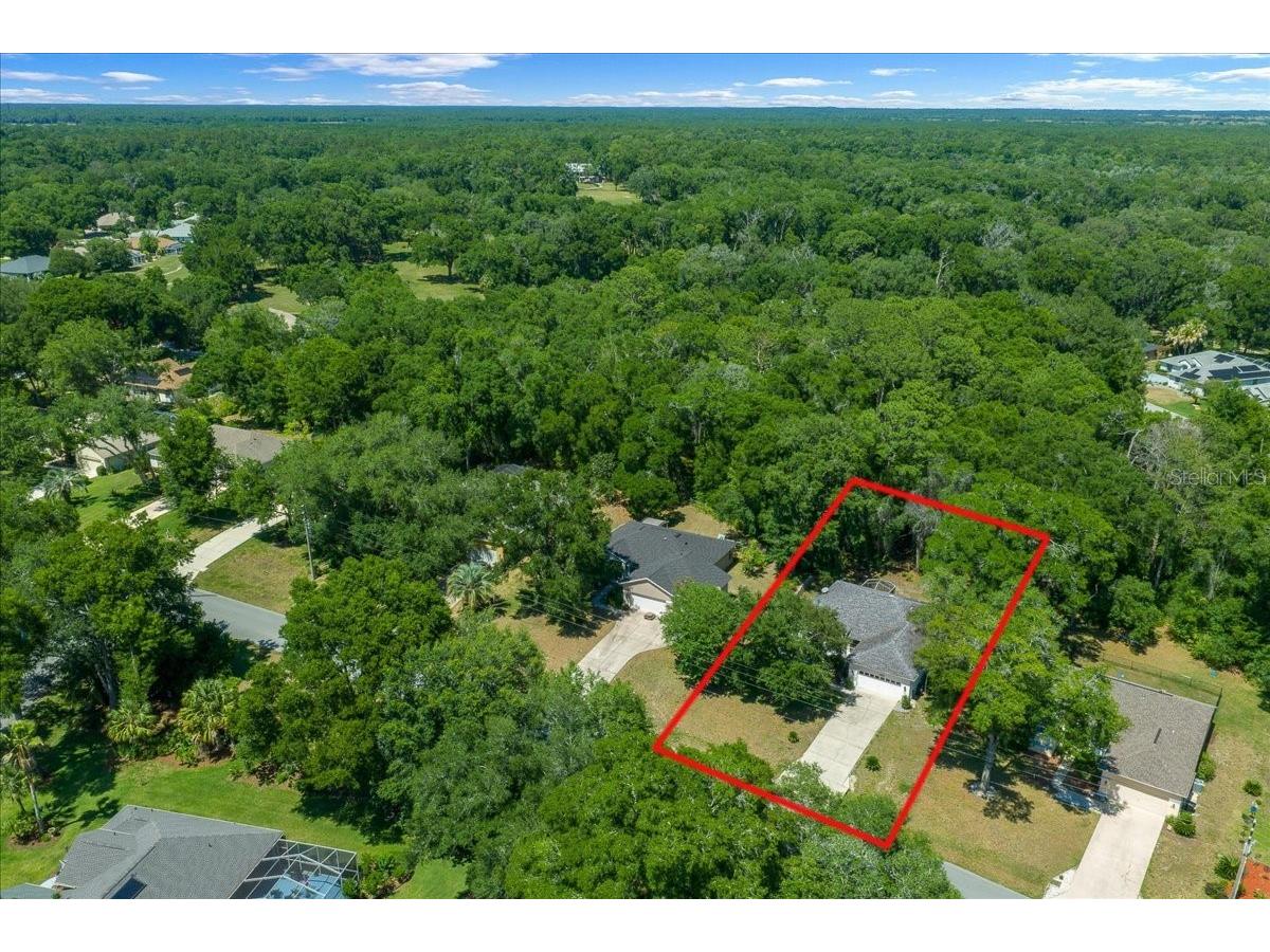 8859 SW 196th Avenue Road Dunnellon FL 34432 OM724317 image43