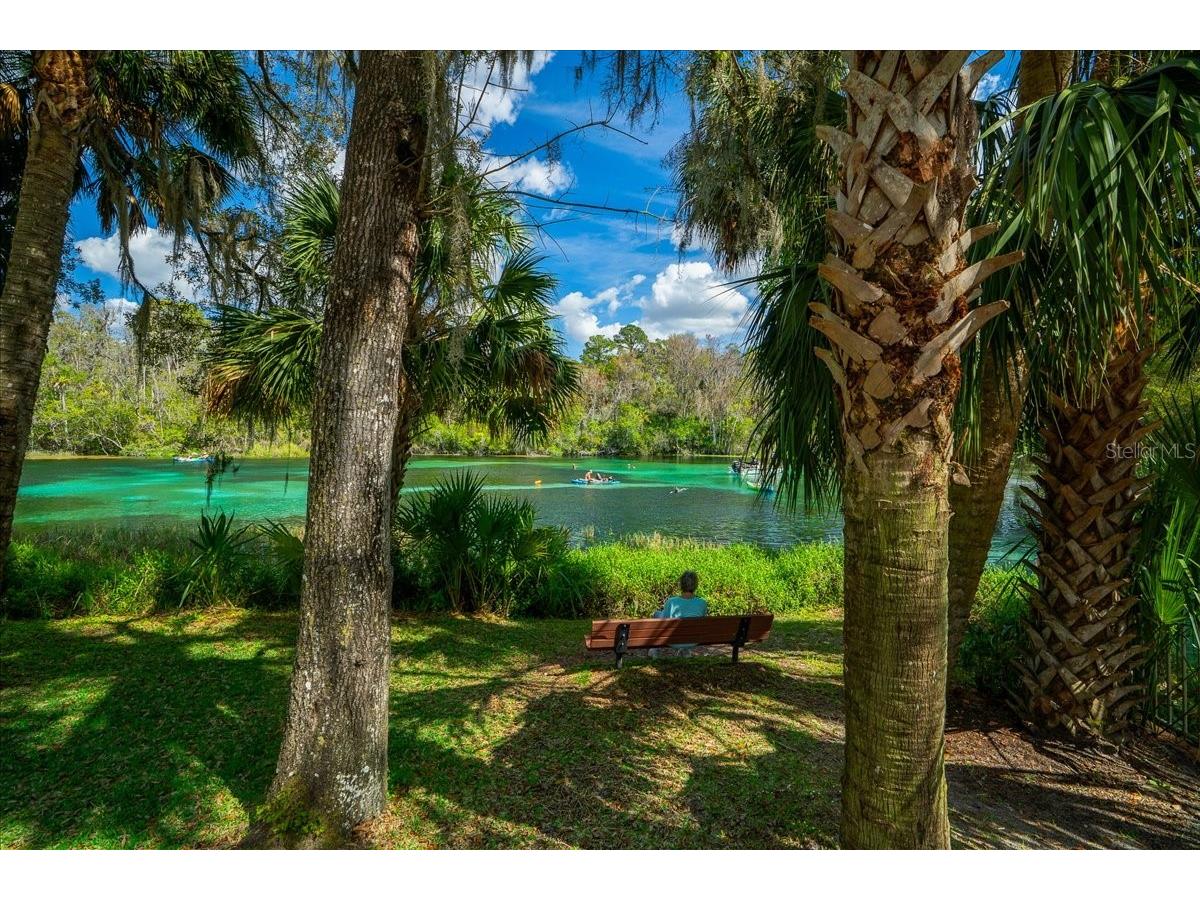 8859 SW 196th Avenue Road Dunnellon FL 34432 OM724317 image49