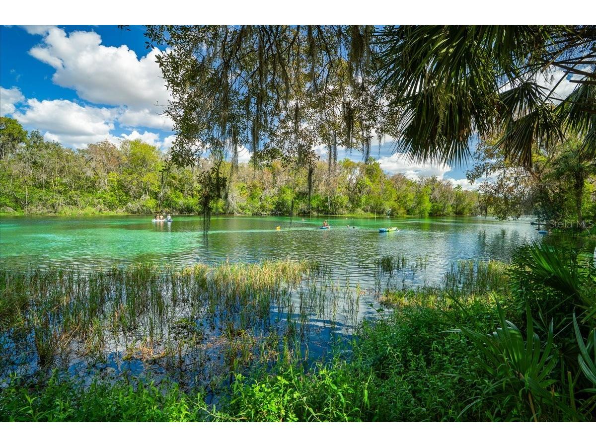 8859 SW 196th Avenue Road Dunnellon FL 34432 OM724317 image50