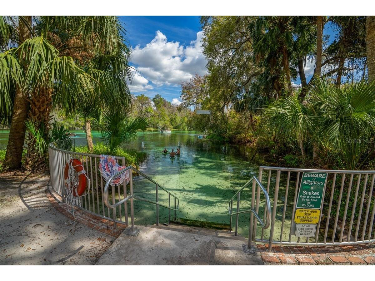 8859 SW 196th Avenue Road Dunnellon FL 34432 OM724317 image51