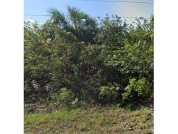 886 Bitlis Street SW Palm Bay FL 32908 O6371980 image1