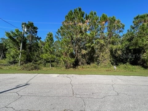 886 Hudson Valley Drive Poinciana FL 34759 O6068307 image1
