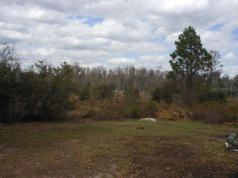 8860 Parliament Court Kissimmee FL 34747 S5137975 image7