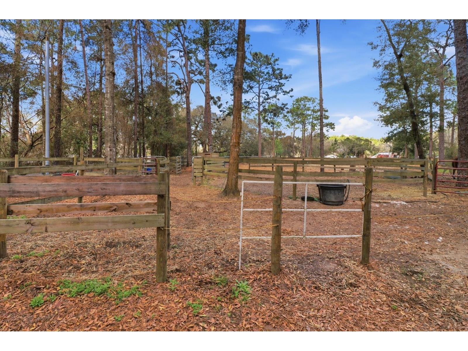 8863 S Evans Avenue Inverness FL 34452 OM718252 image51