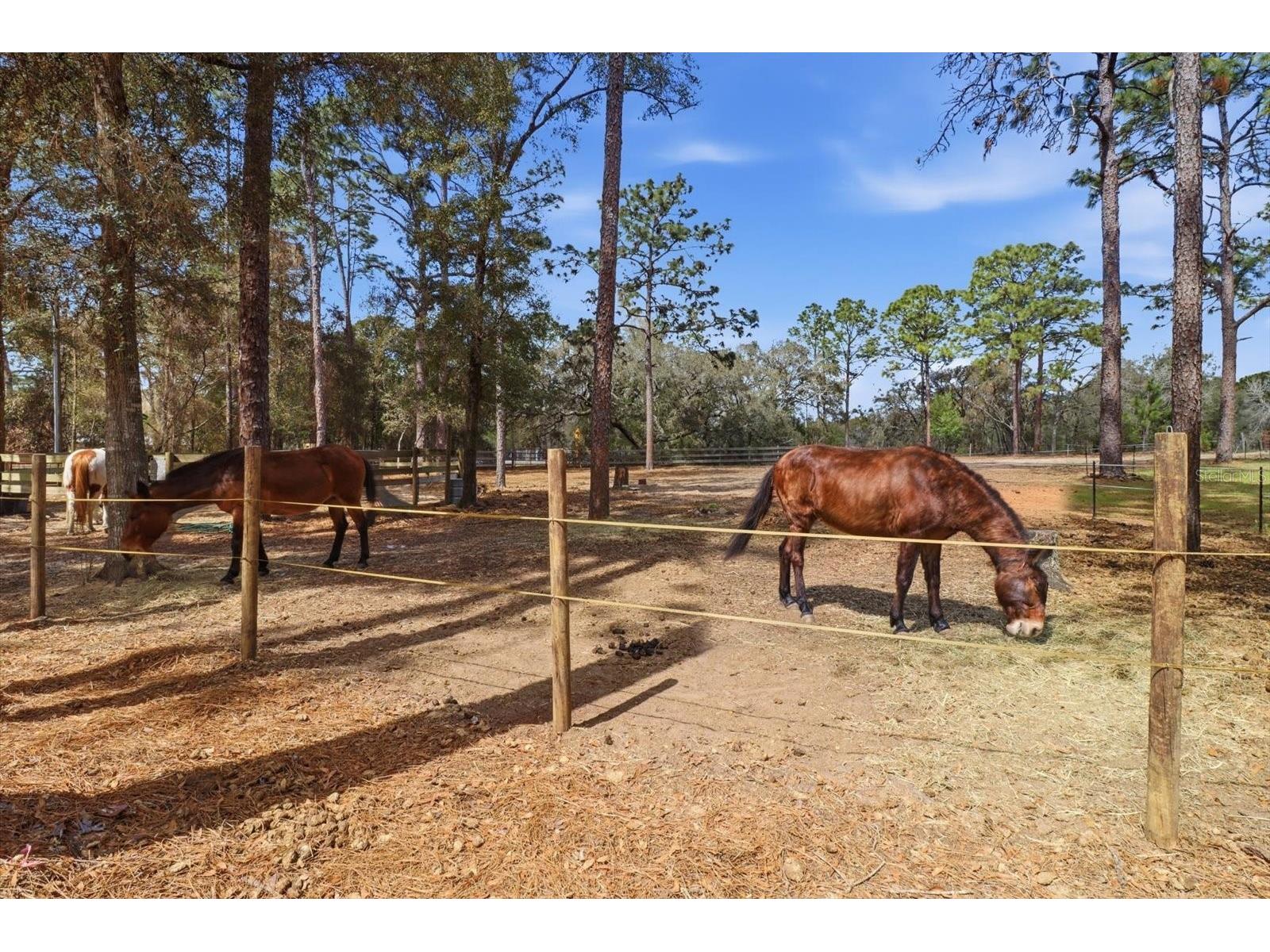 8863 S Evans Avenue Inverness FL 34452 OM718252 image52