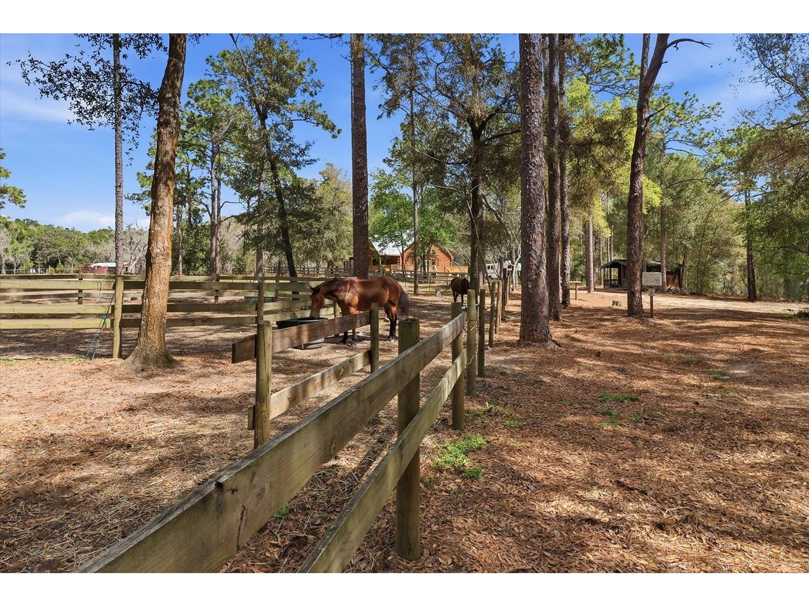 8863 S Evans Avenue Inverness FL 34452 OM718252 image53