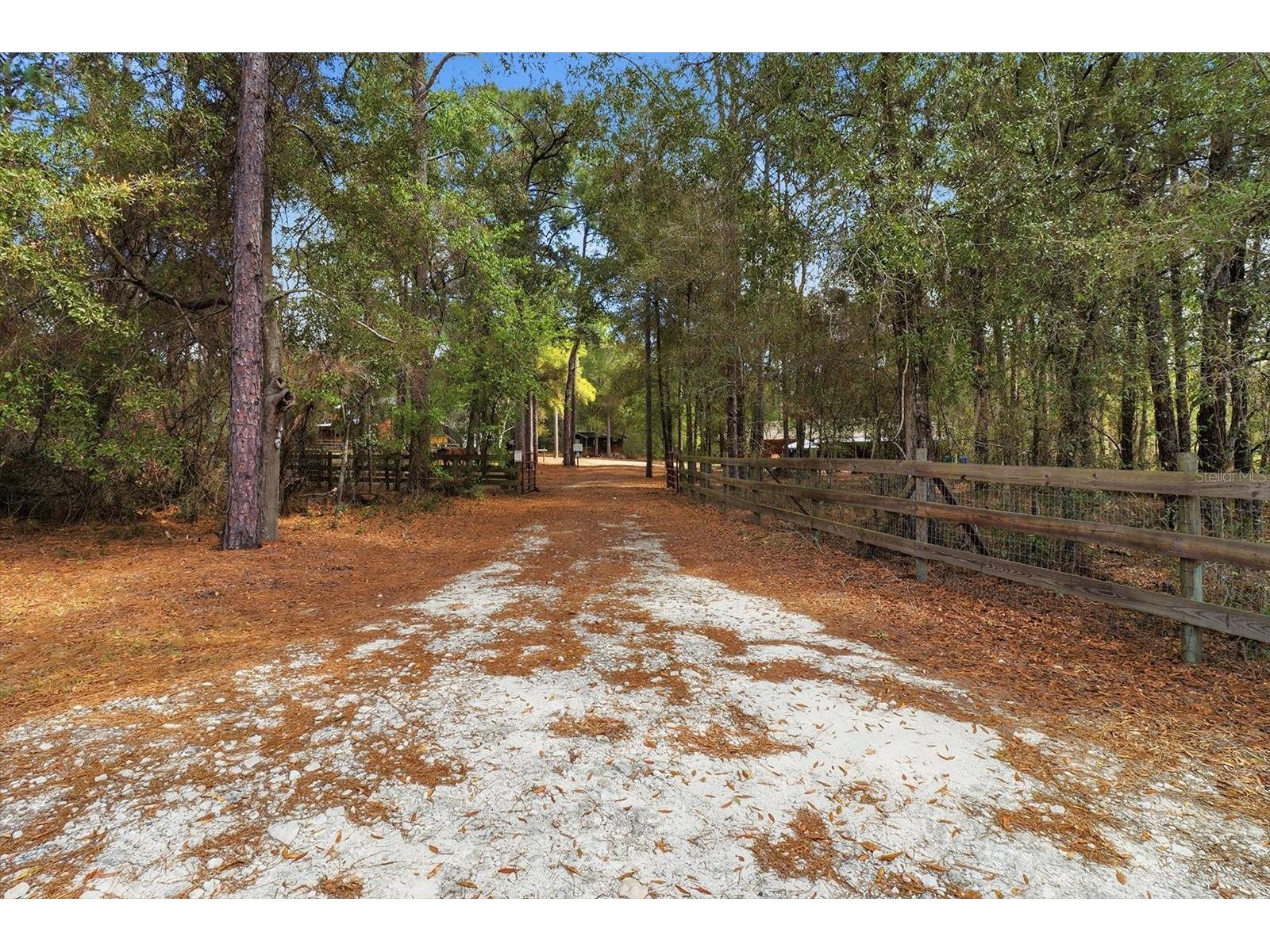 8863 S Evans Avenue Inverness FL 34452 OM718252 image54