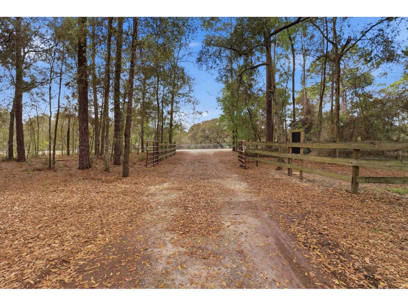 8863 S Evans Avenue Inverness FL 34452 OM718252 image55