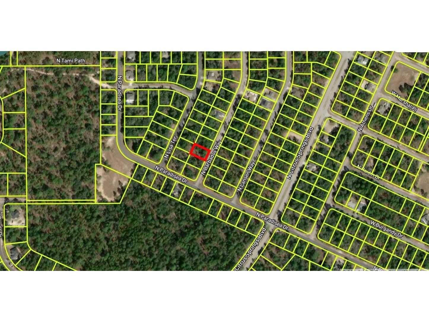 8864 N Barbados Way Citrus Springs FL 34433 S5153253 image2