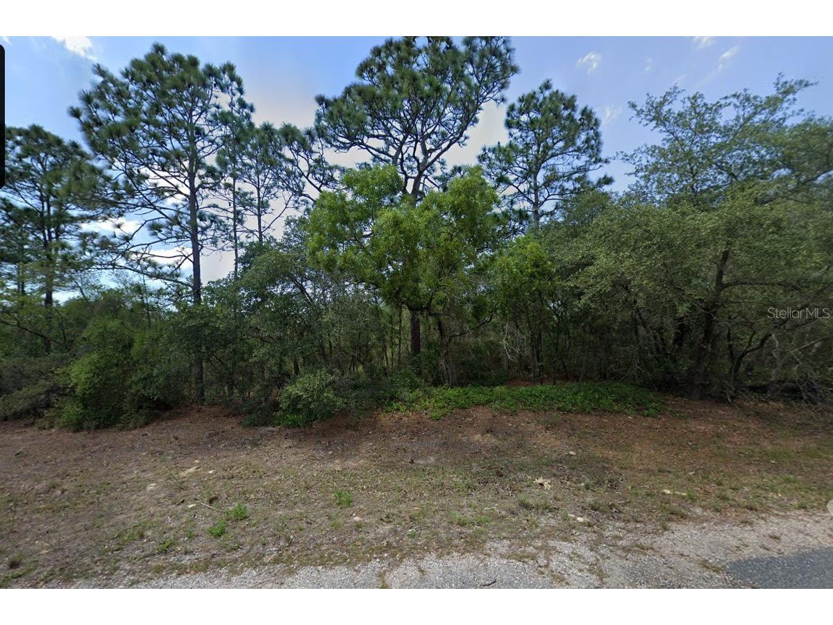 8864 N Barbados Way Citrus Springs FL 34433 S5153253 image3