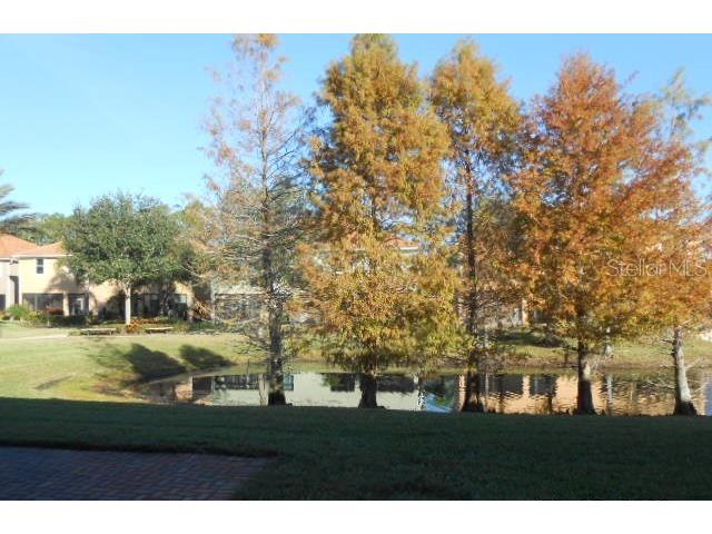 8865 Della Scala Circle Orlando FL 32836 O6357240 image5