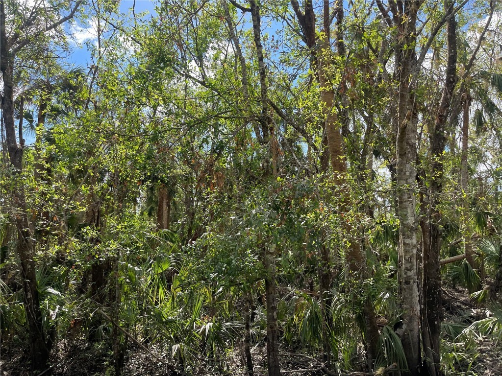 8865 SW Hidden Oak Street Arcadia FL 34266 C7467665 image1