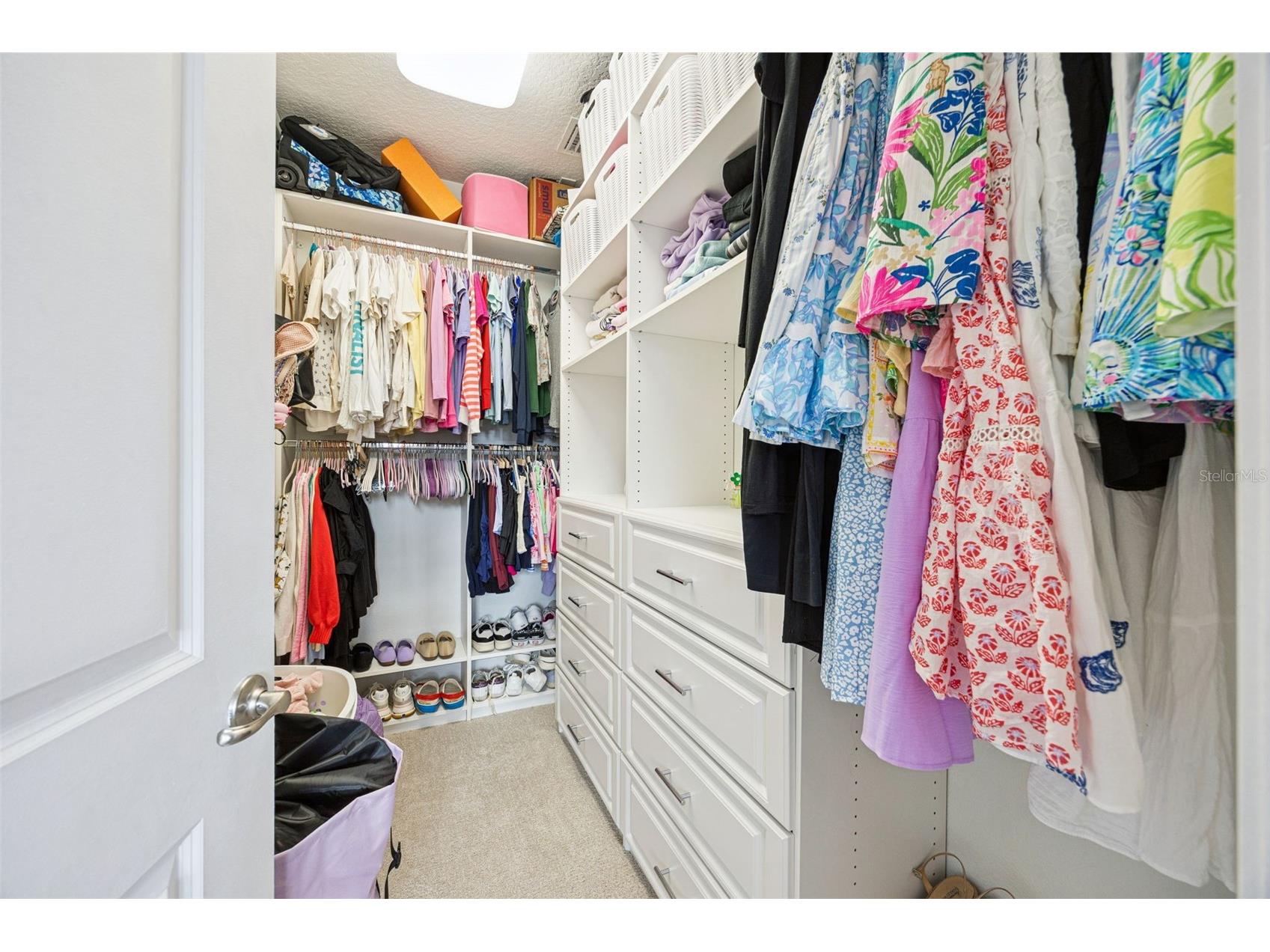 8866 Bismarck Palm Drive Winter Garden FL 34787 O6408155 image34