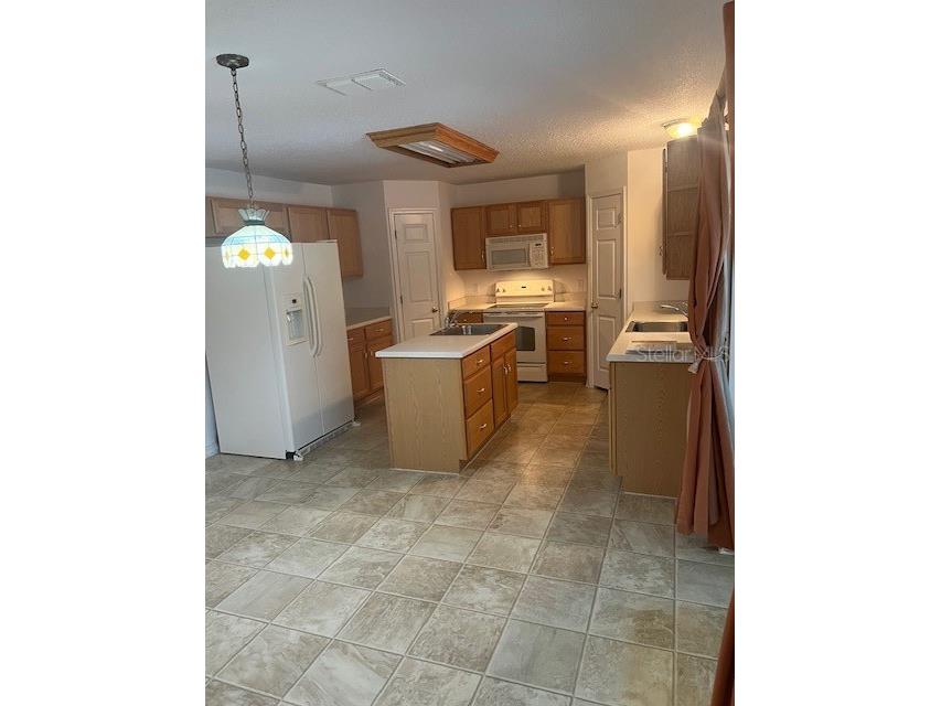 8867 N Trojan Drive Citrus Springs FL 34433 V4944446 image13