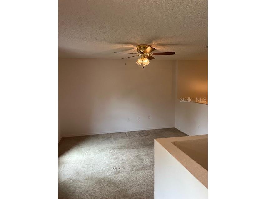 8867 N Trojan Drive Citrus Springs FL 34433 V4944446 image15