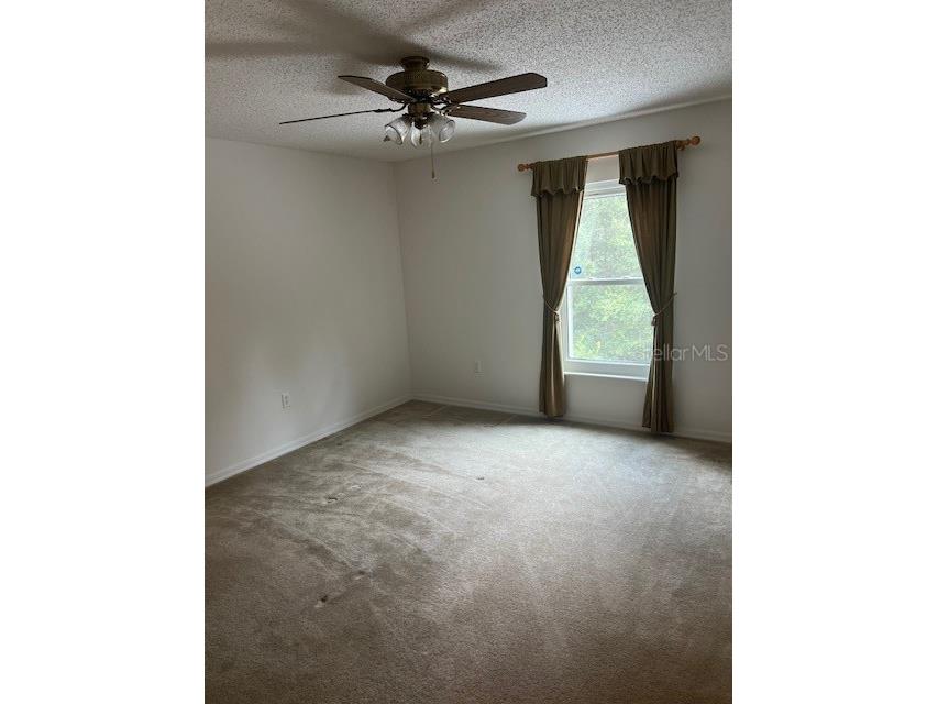 8867 N Trojan Drive Citrus Springs FL 34433 V4944446 image16