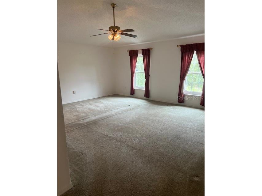 8867 N Trojan Drive Citrus Springs FL 34433 V4944446 image17