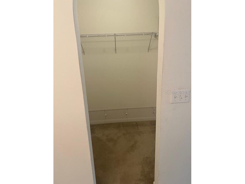 8867 N Trojan Drive Citrus Springs FL 34433 V4944446 image21