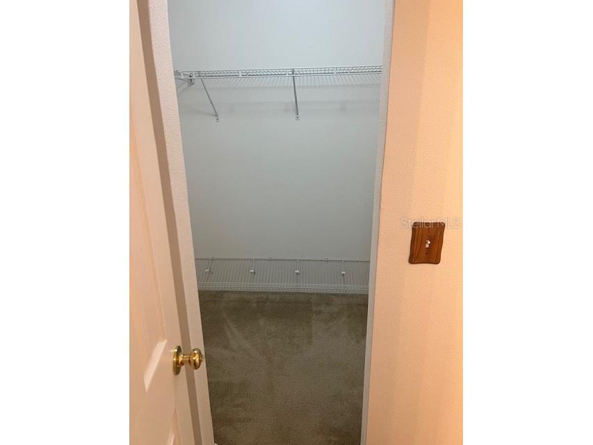8867 N Trojan Drive Citrus Springs FL 34433 V4944446 image22