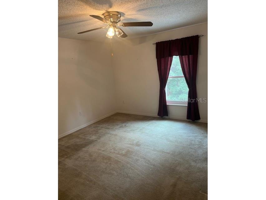 8867 N Trojan Drive Citrus Springs FL 34433 V4944446 image23