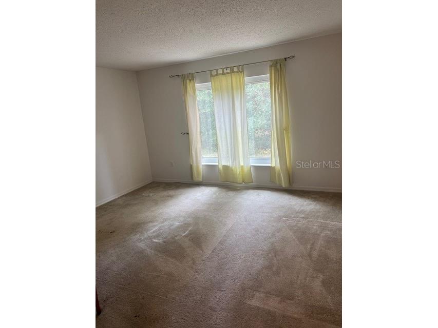 8867 N Trojan Drive Citrus Springs FL 34433 V4944446 image8