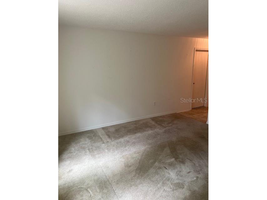 8867 N Trojan Drive Citrus Springs FL 34433 V4944446 image9