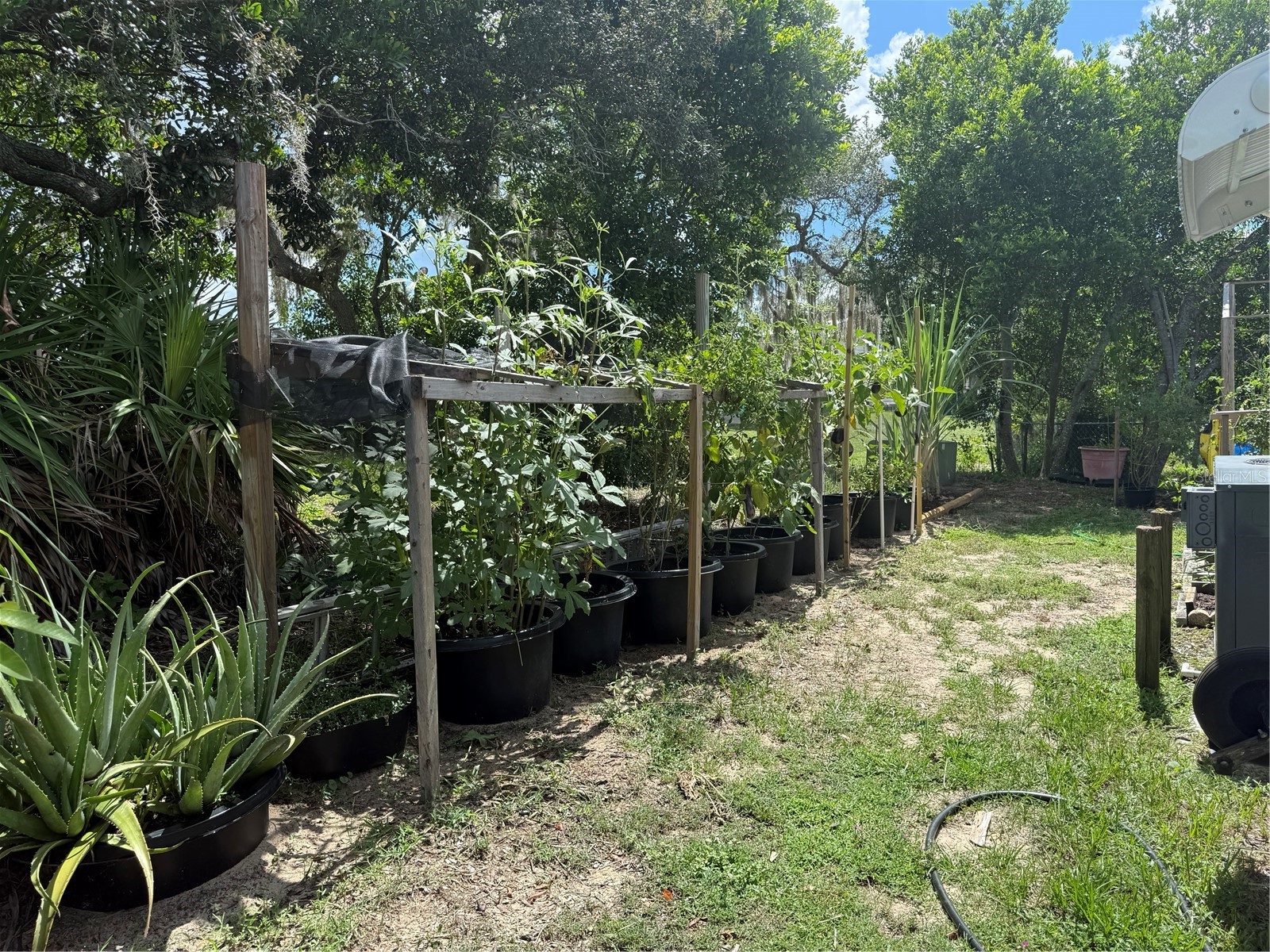 8869 Highpoint Boulevard Brooksville FL 34613 TB8415476 image20