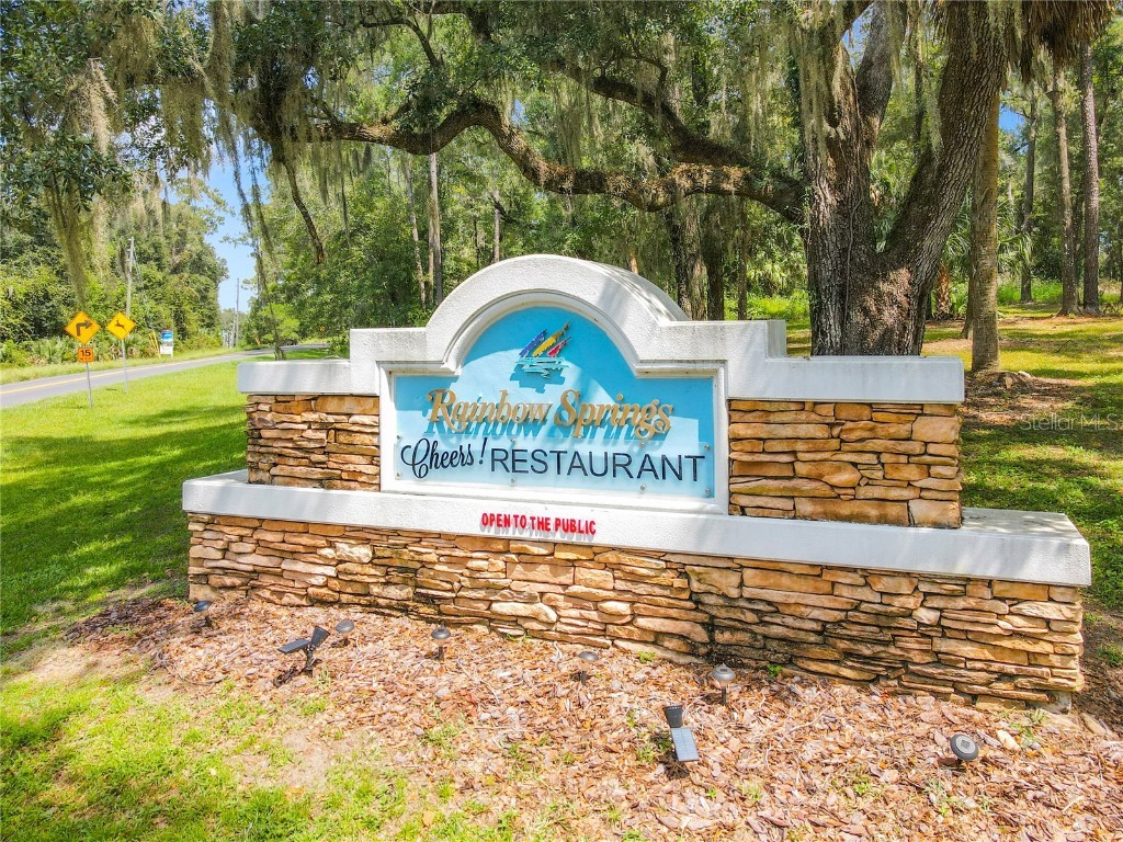 8869 SW 194th Court Dunnellon FL 34432 - RAINBOW RIVER OM697611 image4