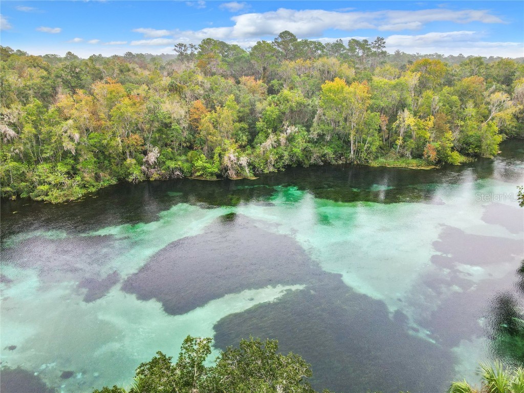 8869 SW 194th Court Dunnellon FL 34432 - RAINBOW RIVER OM697611 image5