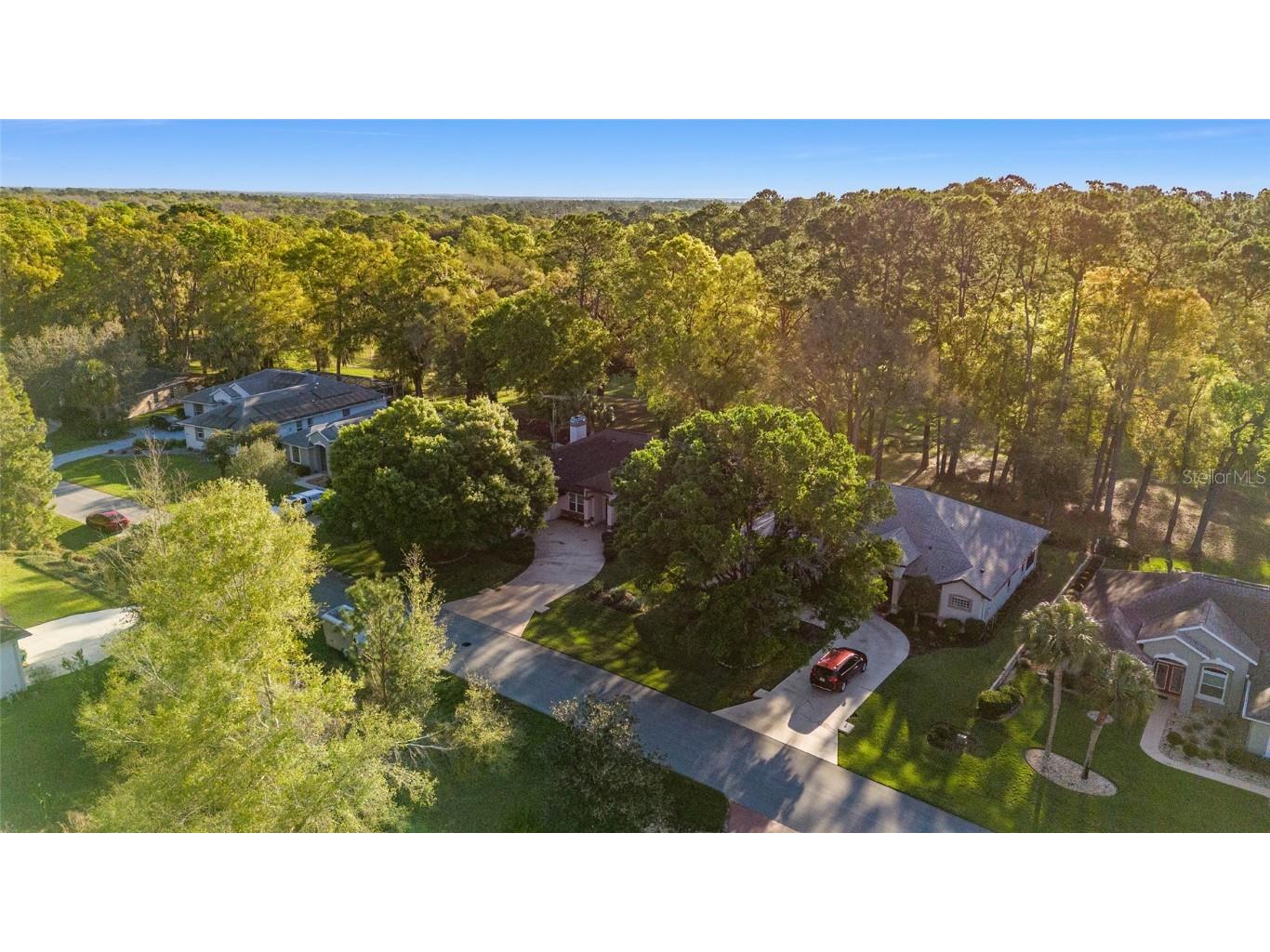 8869 SW 194th Court Dunnellon FL 34432 - RAINBOW RIVER OM697611 image54