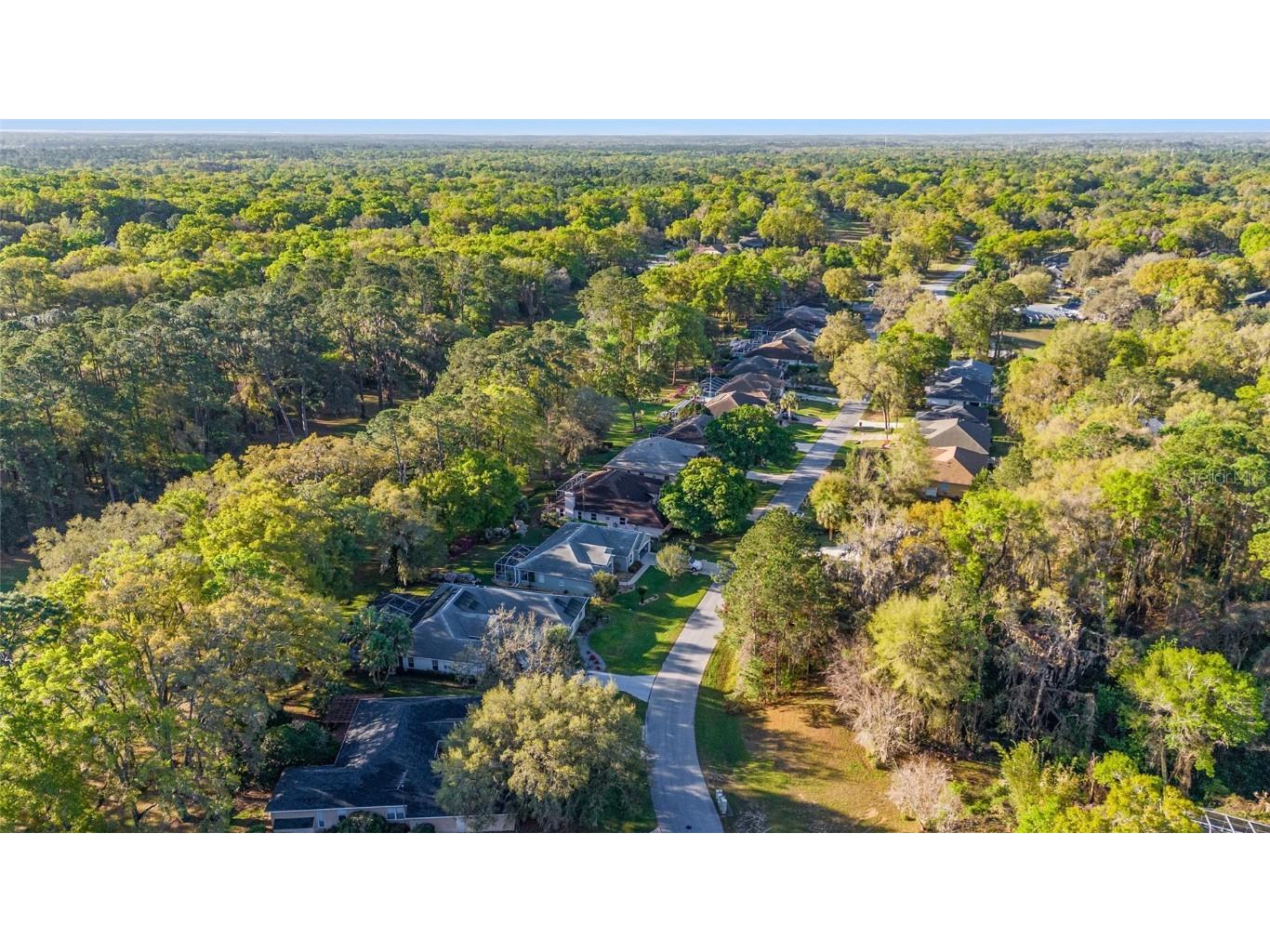 8869 SW 194th Court Dunnellon FL 34432 - RAINBOW RIVER OM697611 image58