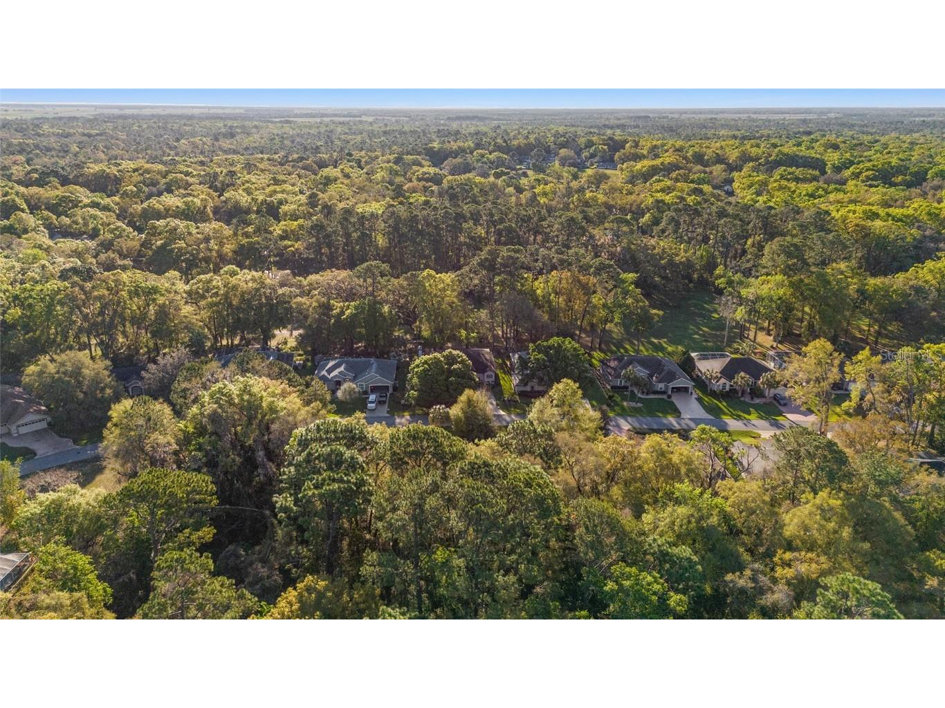 8869 SW 194th Court Dunnellon FL 34432 - RAINBOW RIVER OM697611 image59