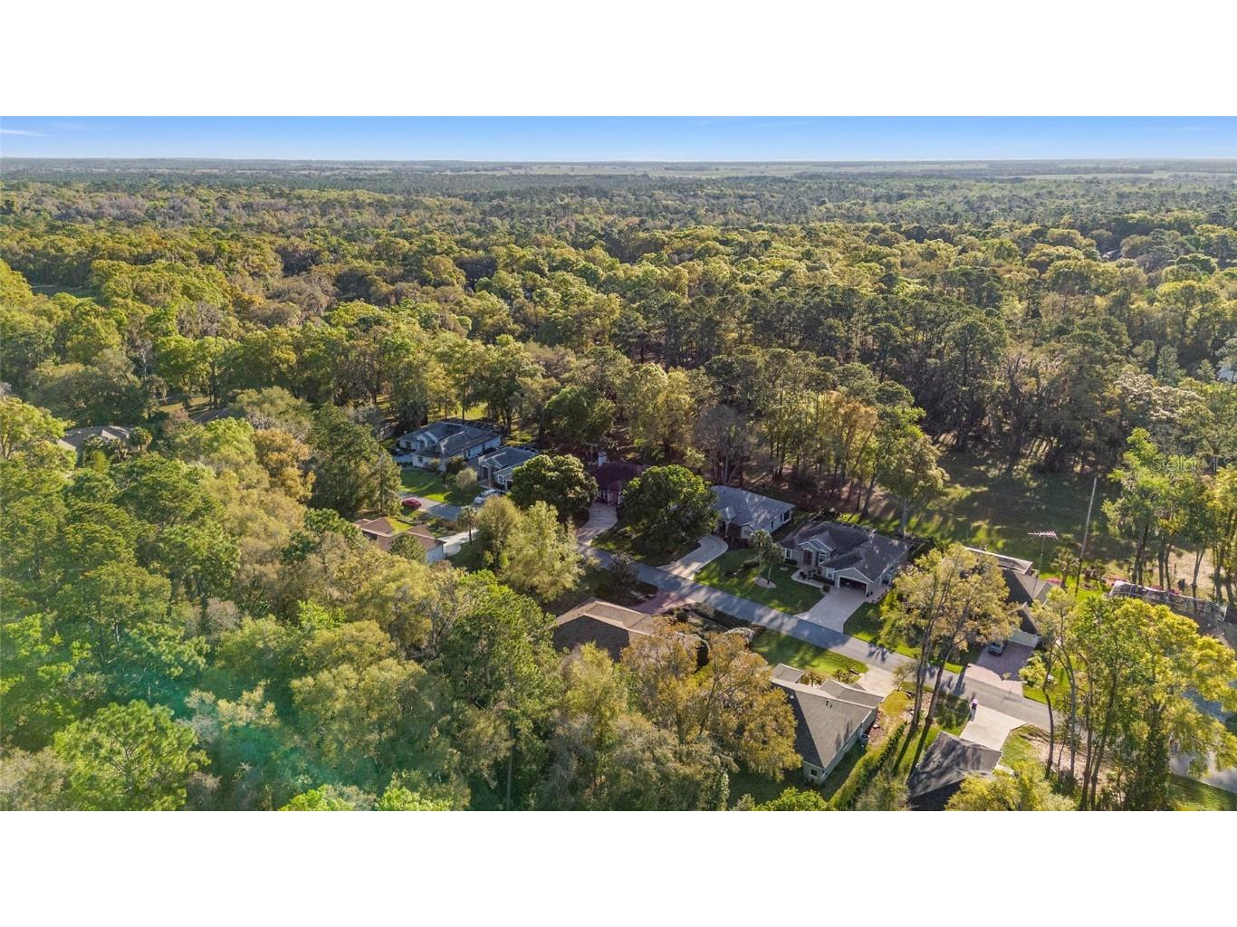 8869 SW 194th Court Dunnellon FL 34432 - RAINBOW RIVER OM697611 image60