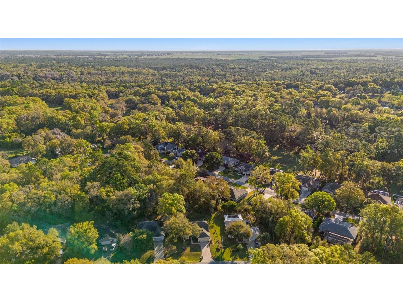 8869 SW 194th Court Dunnellon FL 34432 - RAINBOW RIVER OM697611 image61