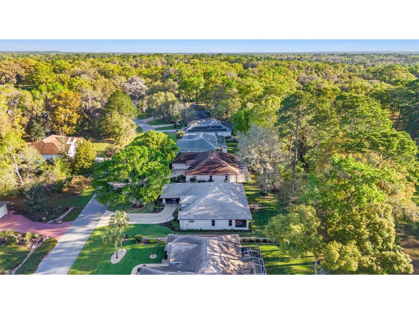 8869 SW 194th Court Dunnellon FL 34432 - RAINBOW RIVER OM697611 image62