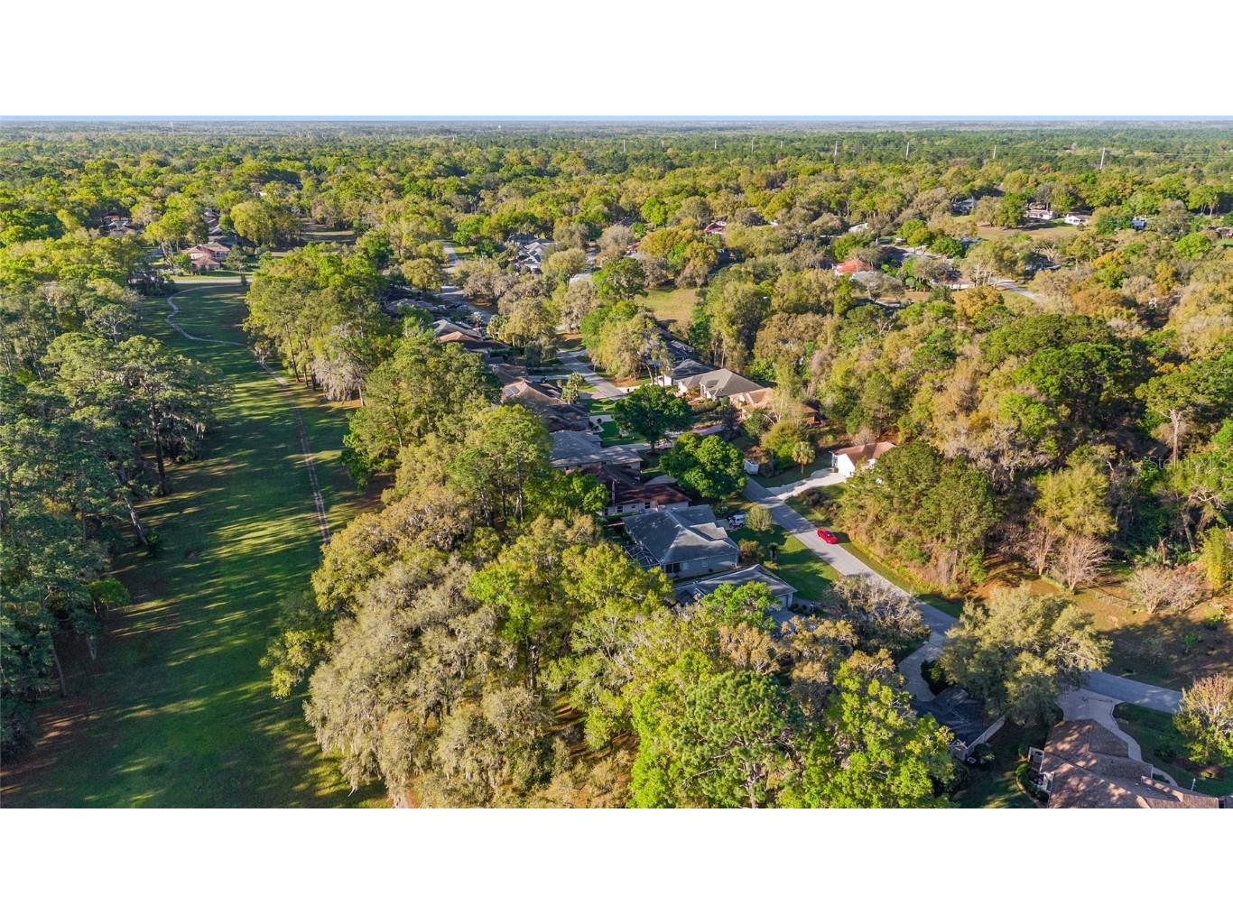 8869 SW 194th Court Dunnellon FL 34432 - RAINBOW RIVER OM697611 image66