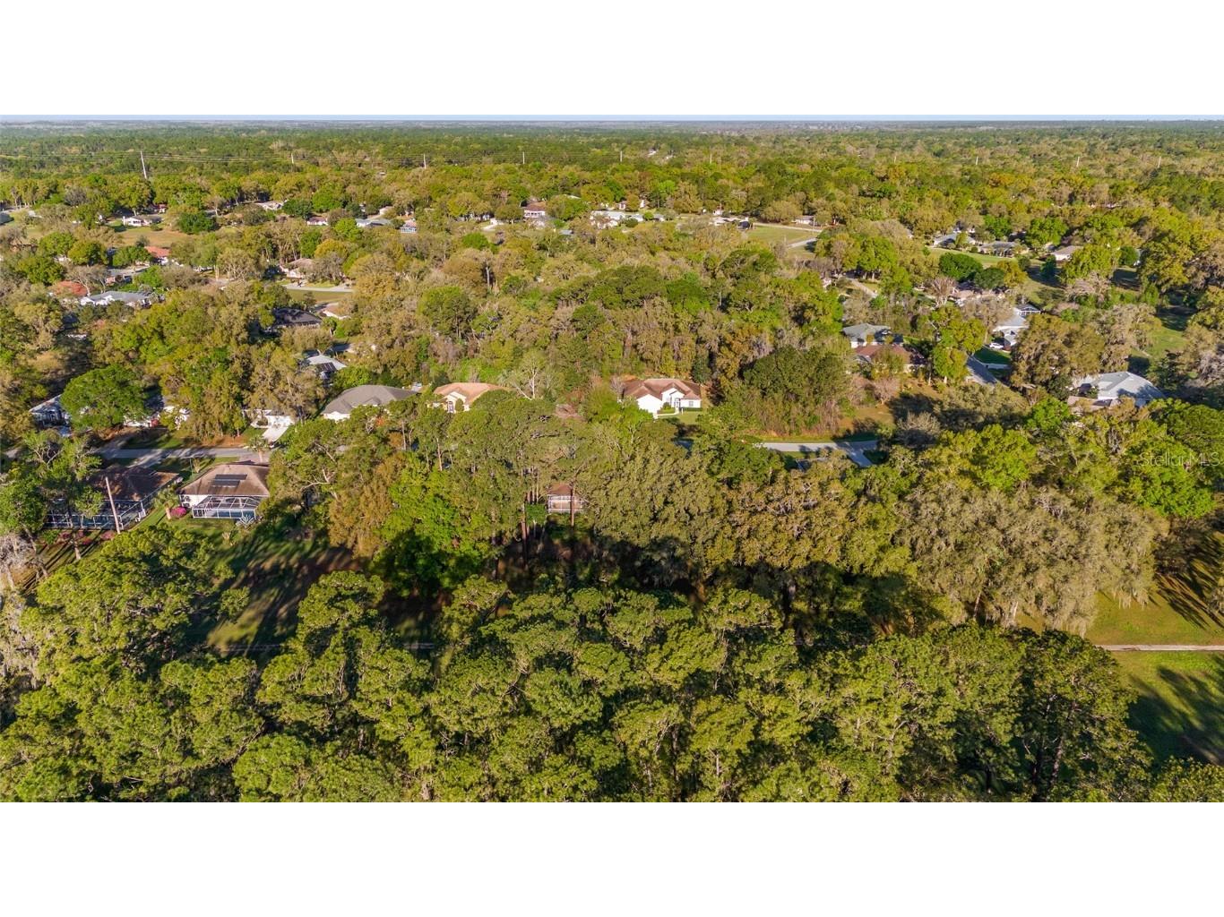 8869 SW 194th Court Dunnellon FL 34432 - RAINBOW RIVER OM697611 image67