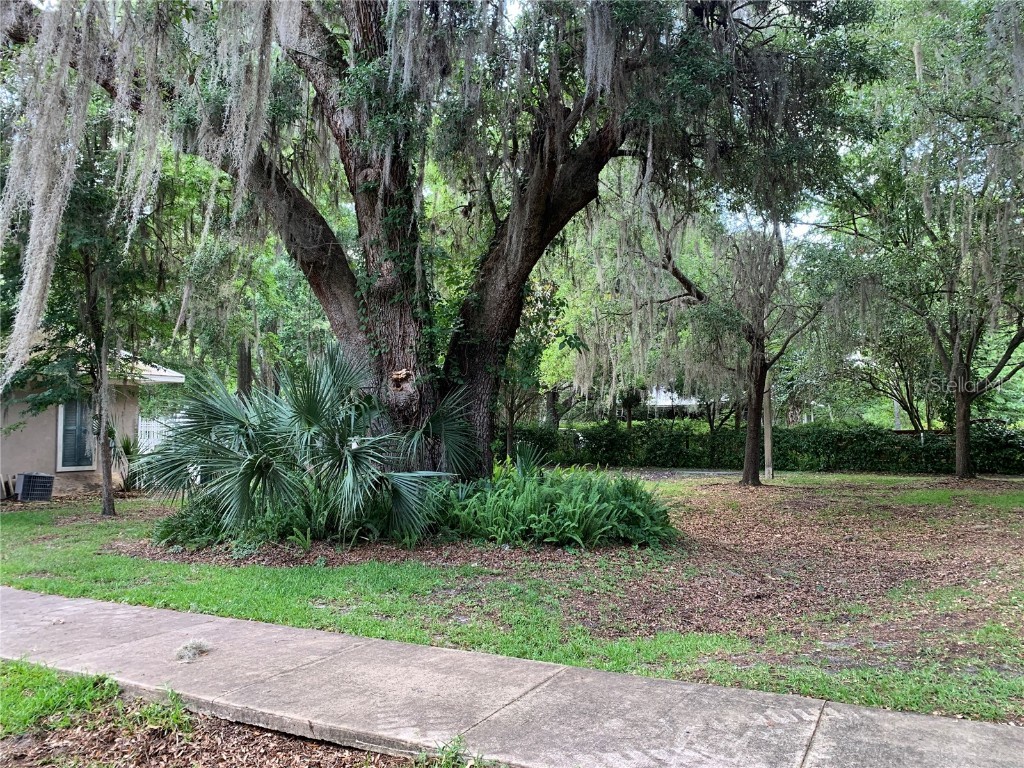 887 NW 21st Avenue #887 Gainesville FL 32609 GC530653 image36