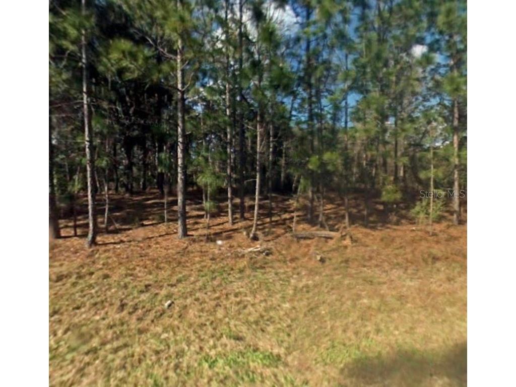 887 W Bannister Drive Citrus Springs FL 34434 C7469832 image1